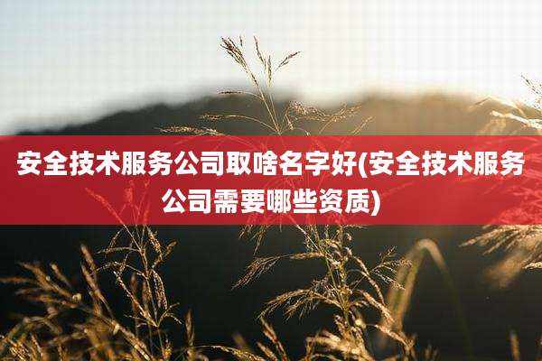 安全技术服务公司取啥名字好(安全技术服务公司需要哪些资质)