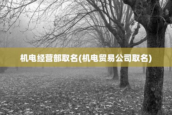 机电经营部取名(机电贸易公司取名)