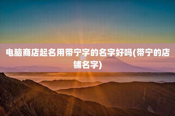 电脑商店起名用带宁字的名字好吗(带宁的店铺名字)