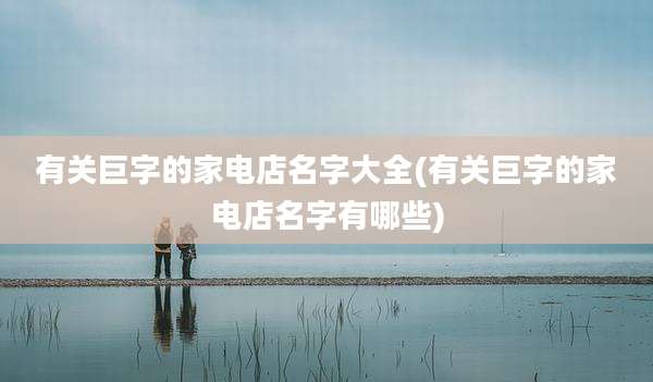 有关巨字的家电店名字大全(有关巨字的家电店名字有哪些)