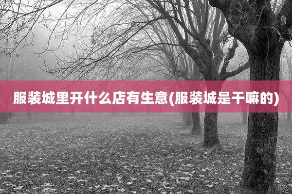 服装城里开什么店有生意(服装城是干嘛的)