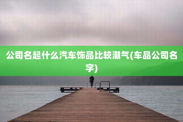 公司名起什么汽车饰品比较潮气(车品公司名字)