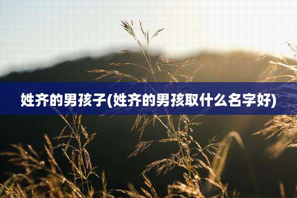 姓齐的男孩子(姓齐的男孩取什么名字好)