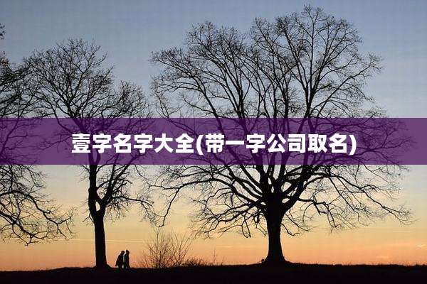 壹字名字大全(带一字公司取名)