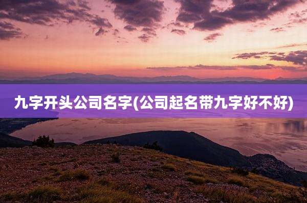 九字开头公司名字(公司起名带九字好不好)