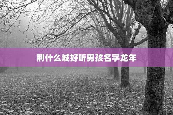 荆什么城好听男孩名字龙年