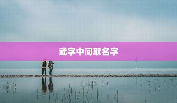 武字中间取名字