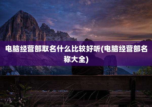 电脑经营部取名什么比较好听(电脑经营部名称大全)