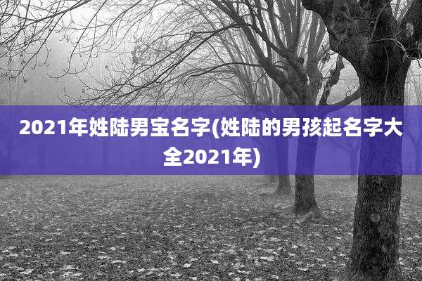2021年姓陆男宝名字(姓陆的男孩起名字大全2021年)