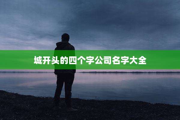 城开头的四个字公司名字大全