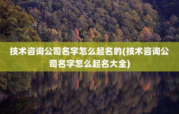 技术咨询公司名字怎么起名的(技术咨询公司名字怎么起名大全)