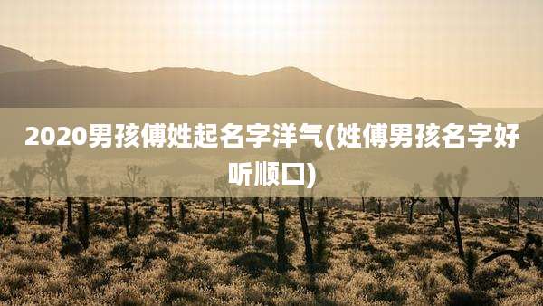 2020男孩傅姓起名字洋气(姓傅男孩名字好听顺口)