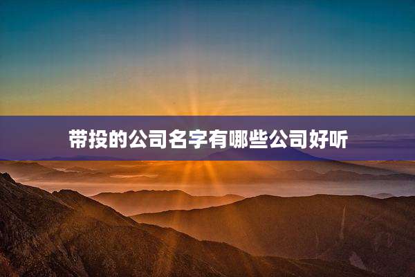带投的公司名字有哪些公司好听