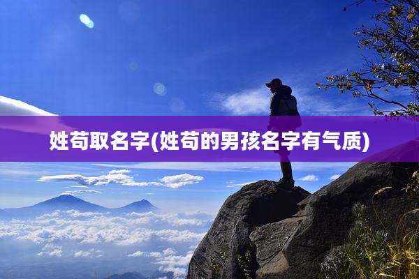姓苟取名字(姓苟的男孩名字有气质)
