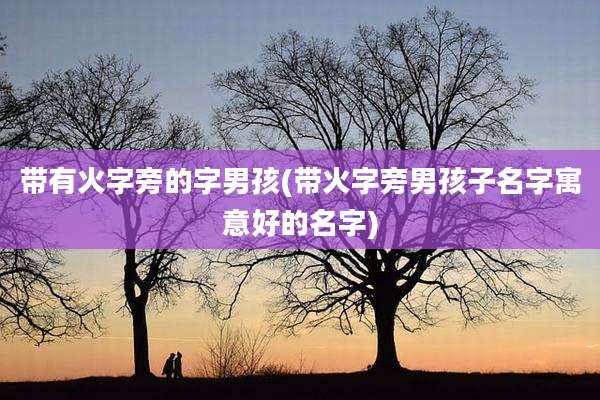 带有火字旁的字男孩(带火字旁男孩子名字寓意好的名字)