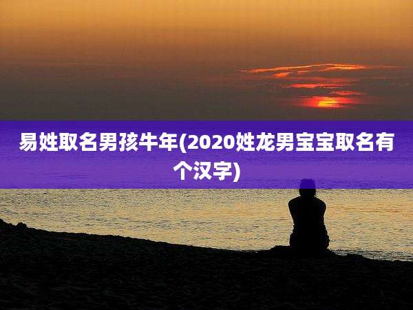 易姓取名男孩牛年(2020姓龙男宝宝取名有个汉字)