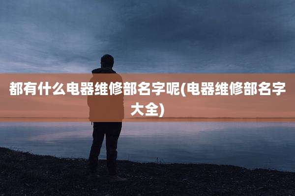 都有什么电器维修部名字呢(电器维修部名字大全)
