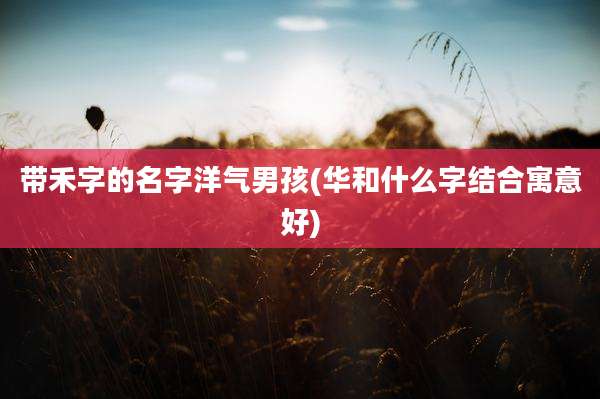 带禾字的名字洋气男孩(华和什么字结合寓意好)