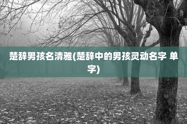 楚辞男孩名清雅(楚辞中的男孩灵动名字 单字)