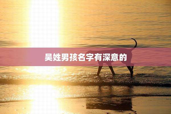 吴姓男孩名字有深意的