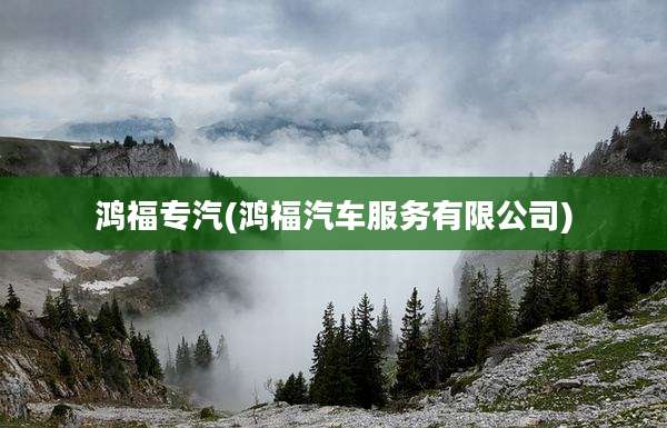 鸿福专汽(鸿福汽车服务有限公司)