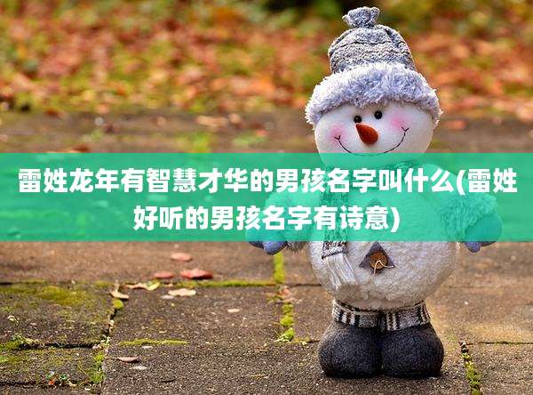 雷姓龙年有智慧才华的男孩名字叫什么(雷姓好听的男孩名字有诗意)