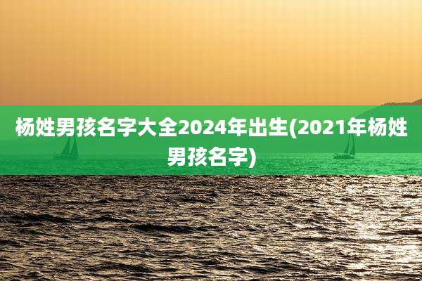 杨姓男孩名字大全2024年出生(2021年杨姓男孩名字)