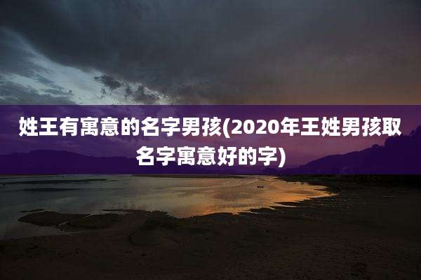 姓王有寓意的名字男孩(2020年王姓男孩取名字寓意好的字)