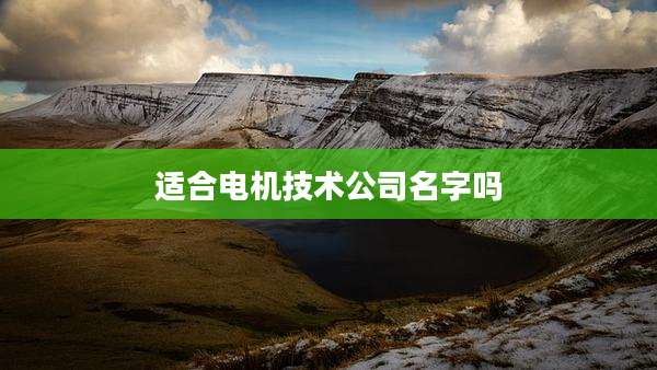 适合电机技术公司名字吗