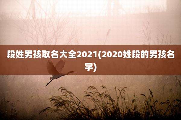段姓男孩取名大全2021(2020姓段的男孩名字)