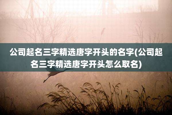 公司起名三字精选唐字开头的名字(公司起名三字精选唐字开头怎么取名)
