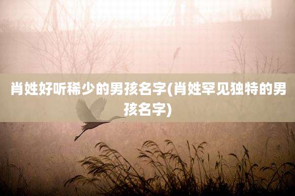 肖姓好听稀少的男孩名字(肖姓罕见独特的男孩名字)