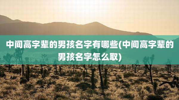 中间高字辈的男孩名字有哪些(中间高字辈的男孩名字怎么取)
