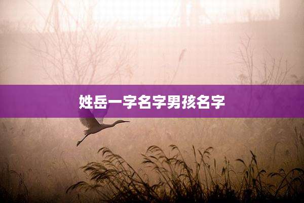 姓岳一字名字男孩名字