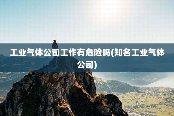 工业气体公司工作有危险吗(知名工业气体公司)