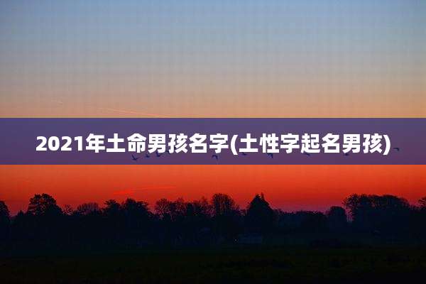 2021年土命男孩名字(土性字起名男孩)