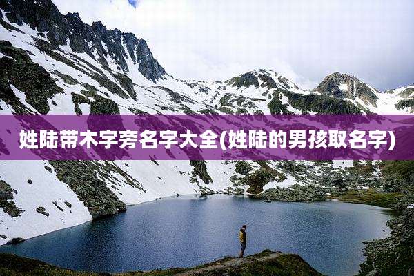 姓陆带木字旁名字大全(姓陆的男孩取名字)