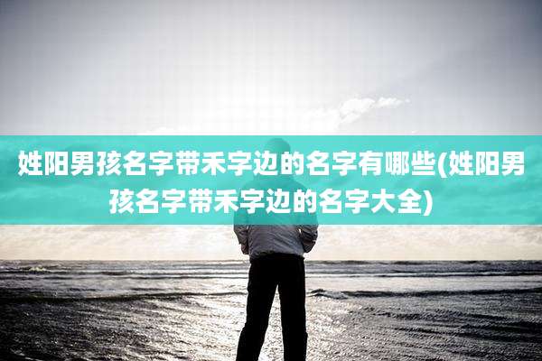 姓阳男孩名字带禾字边的名字有哪些(姓阳男孩名字带禾字边的名字大全)