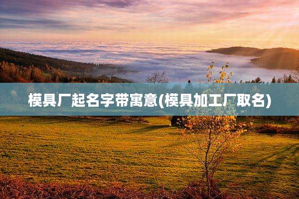 模具厂起名字带寓意(模具加工厂取名)