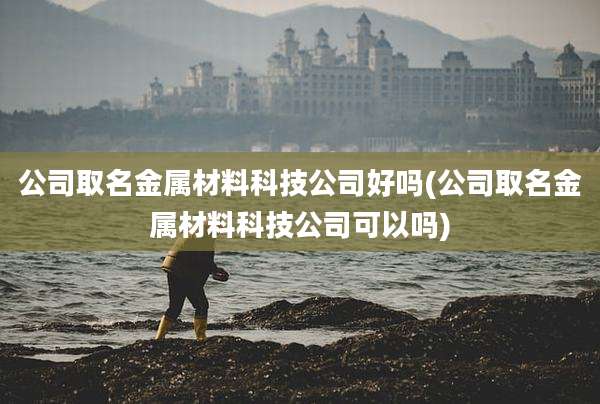 公司取名金属材料科技公司好吗(公司取名金属材料科技公司可以吗)