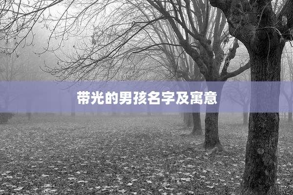 带光的男孩名字及寓意
