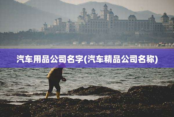 汽车用品公司名字(汽车精品公司名称)