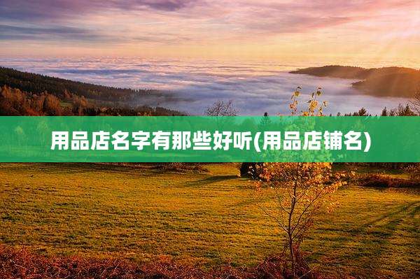 用品店名字有那些好听(用品店铺名)