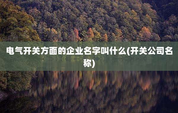 电气开关方面的企业名字叫什么(开关公司名称)