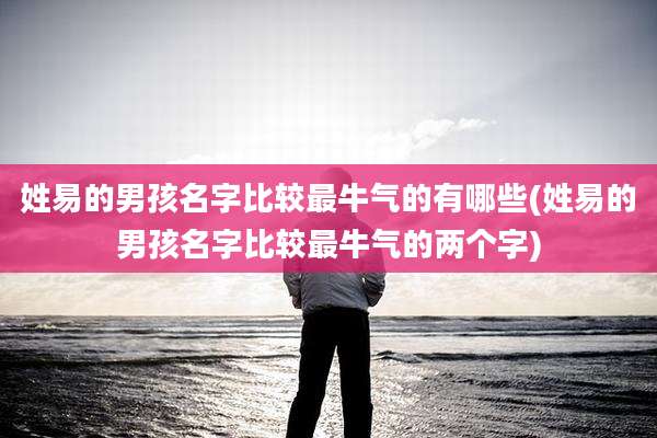 姓易的男孩名字比较最牛气的有哪些(姓易的男孩名字比较最牛气的两个字)