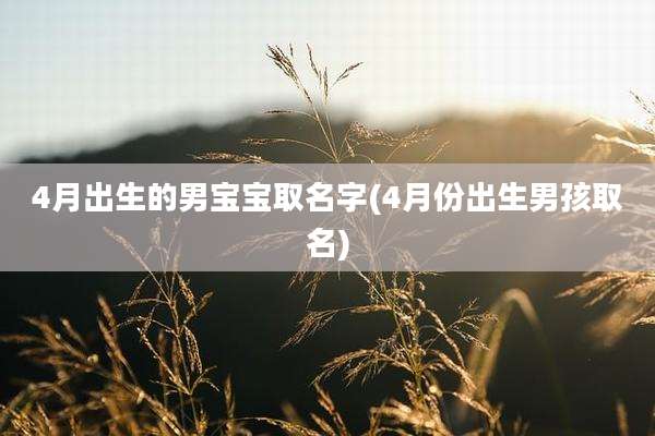 4月出生的男宝宝取名字(4月份出生男孩取名)
