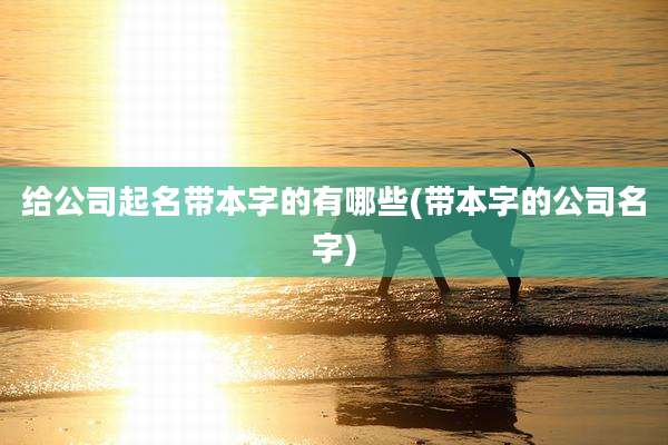 给公司起名带本字的有哪些(带本字的公司名字)