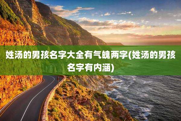 姓汤的男孩名字大全有气魄两字(姓汤的男孩名字有内涵)