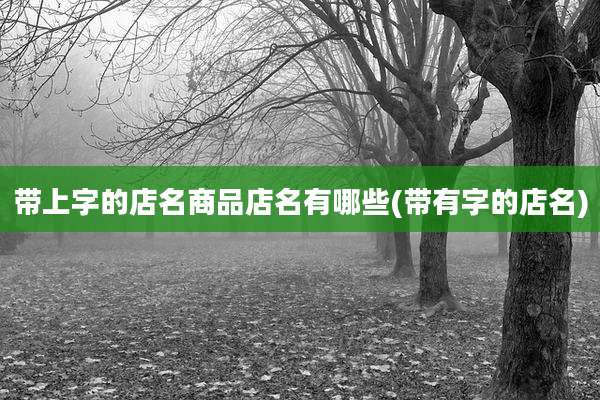 带上字的店名商品店名有哪些(带有字的店名)
