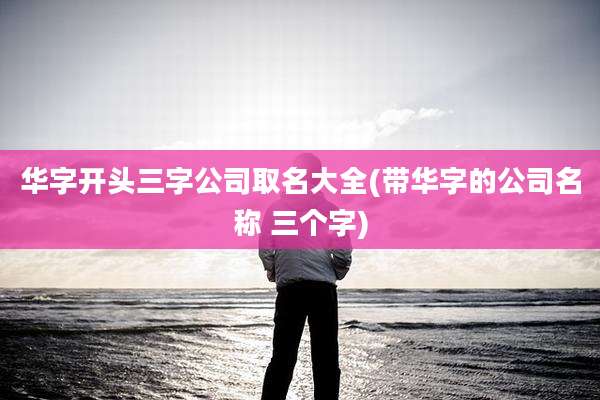 华字开头三字公司取名大全(带华字的公司名称 三个字)